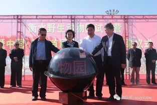 武邑爆料最新新闻报道,聚焦热点事件深度解析  第3张 武邑爆料最新新闻报道,聚焦热点事件深度解析  第3张