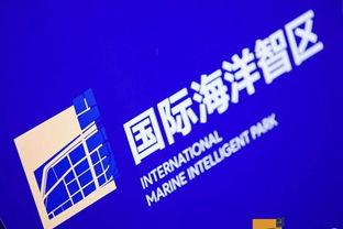 山东新闻爆料热线,聚焦民生,倾听民意