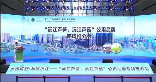 沅江新闻爆料网站官网,聚焦本土热点,传递民生声音