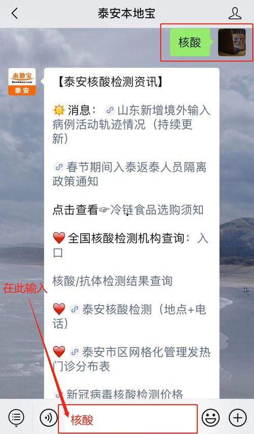 泰安核酸爆料事件视频,视频揭露惊人真相  第2张 泰安核酸爆料事件视频,视频揭露惊人真相  第2张