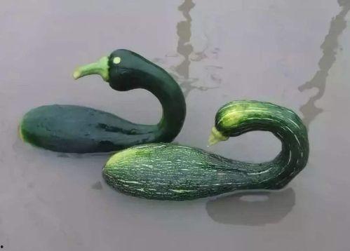 徐州吃瓜网红是谁啊视频,揭秘幕后故事  第2张 徐州吃瓜网红是谁啊视频,揭秘幕后故事  第2张